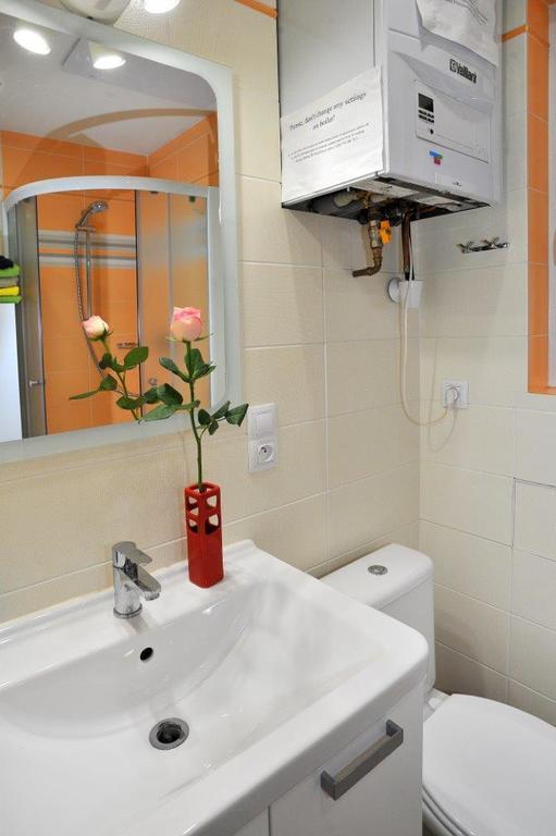 Apartment In Vinohrady Prague